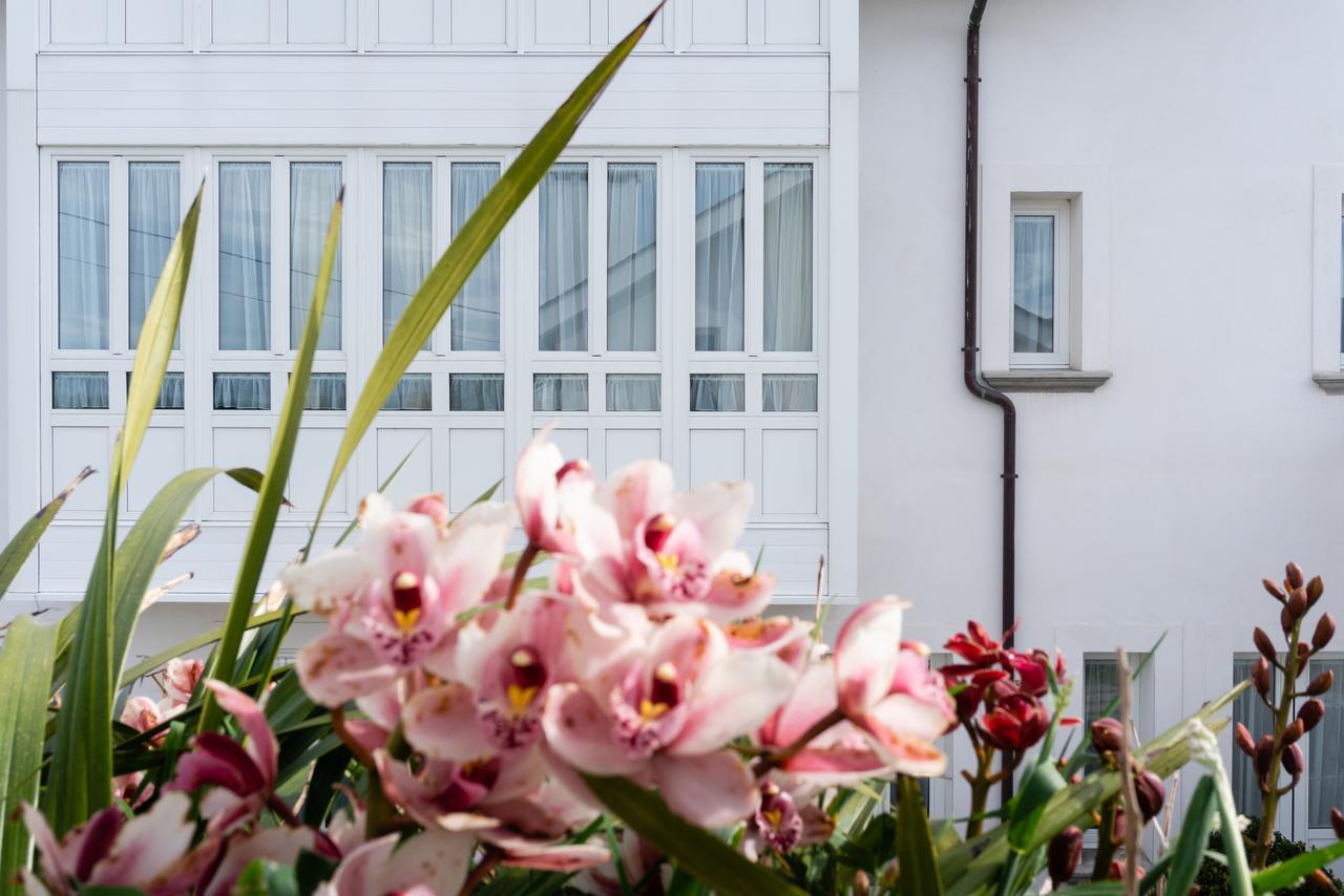 La Casa De Las Camelias Busto Ngoại thất bức ảnh